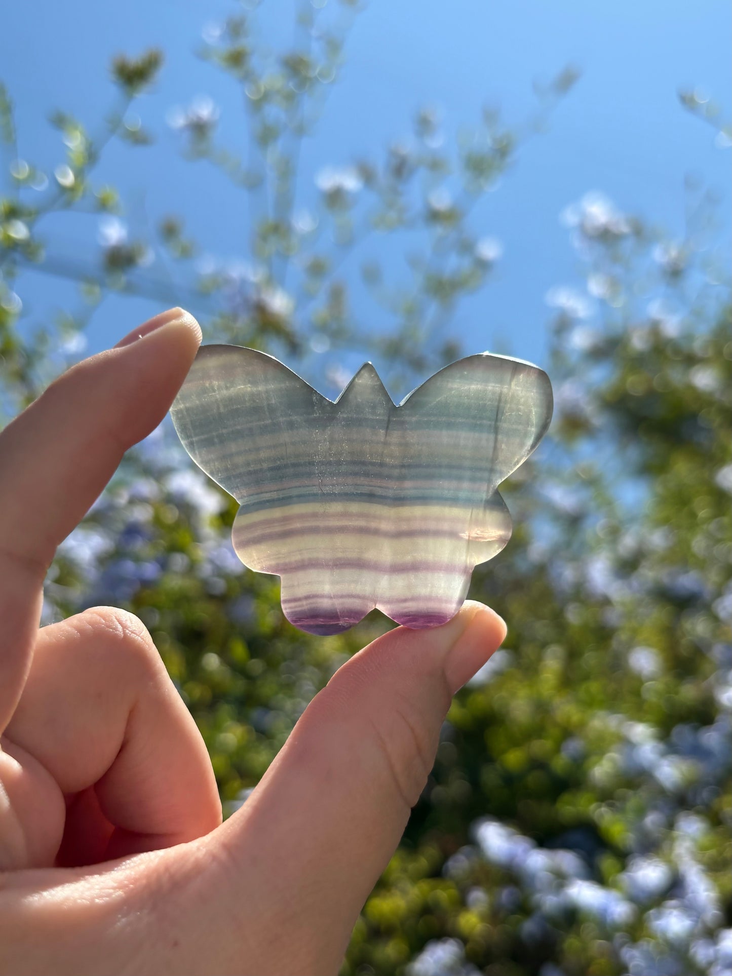 Fluorite butterflies