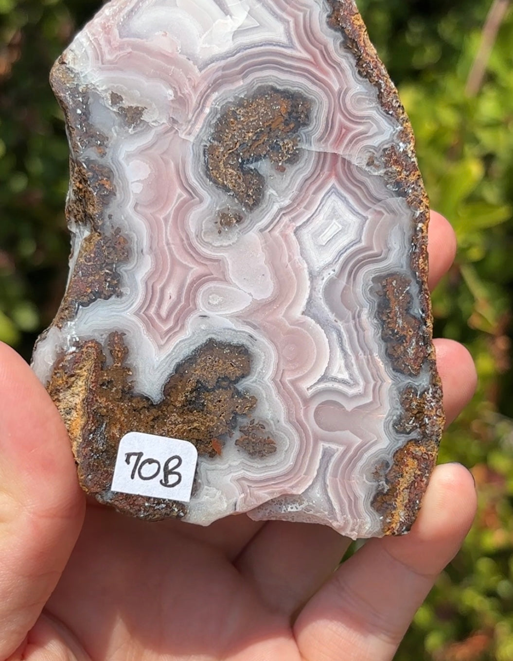 Agua Nueva Agate