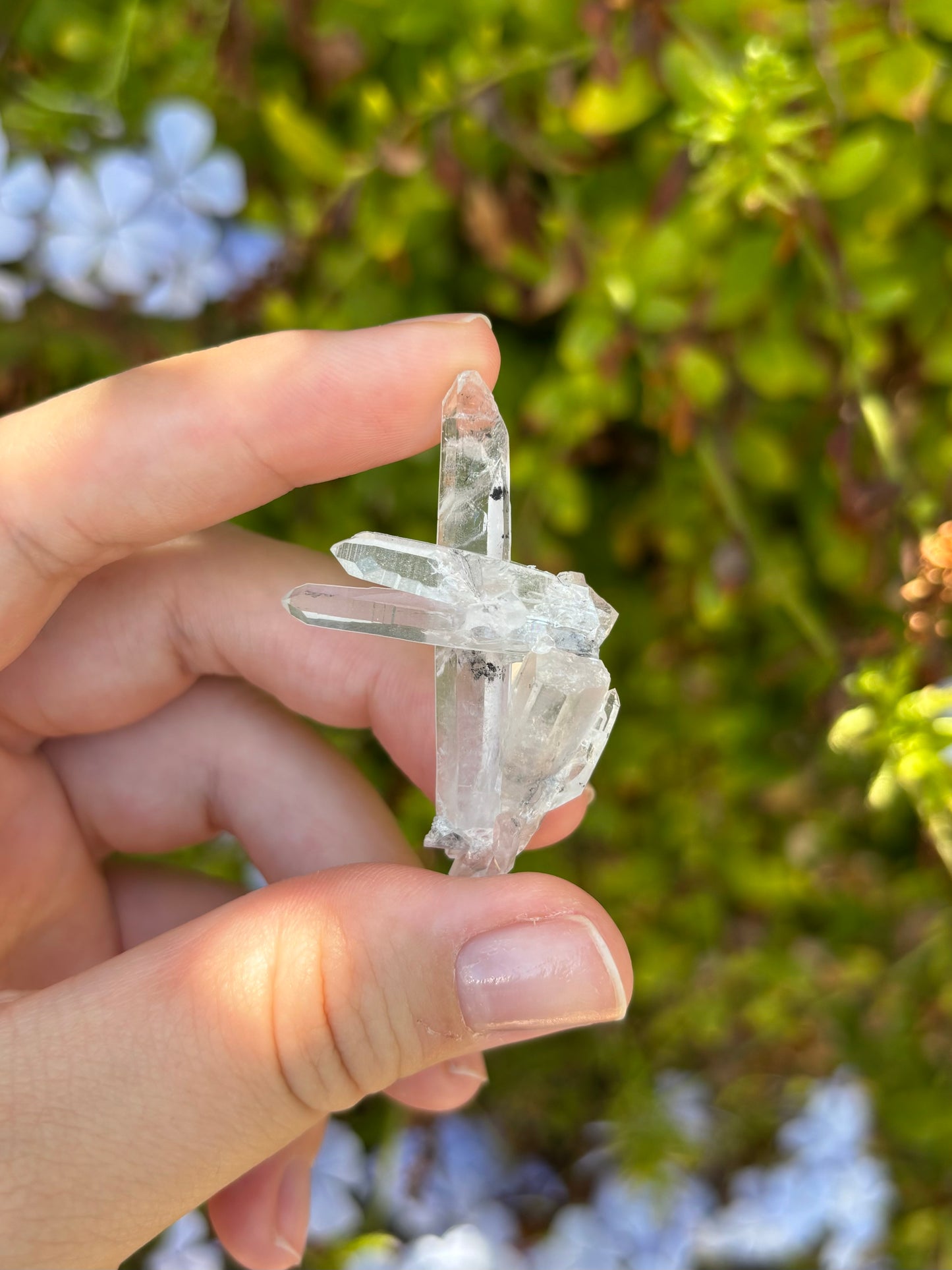 Tibetan Quartz *intuitively chosen*