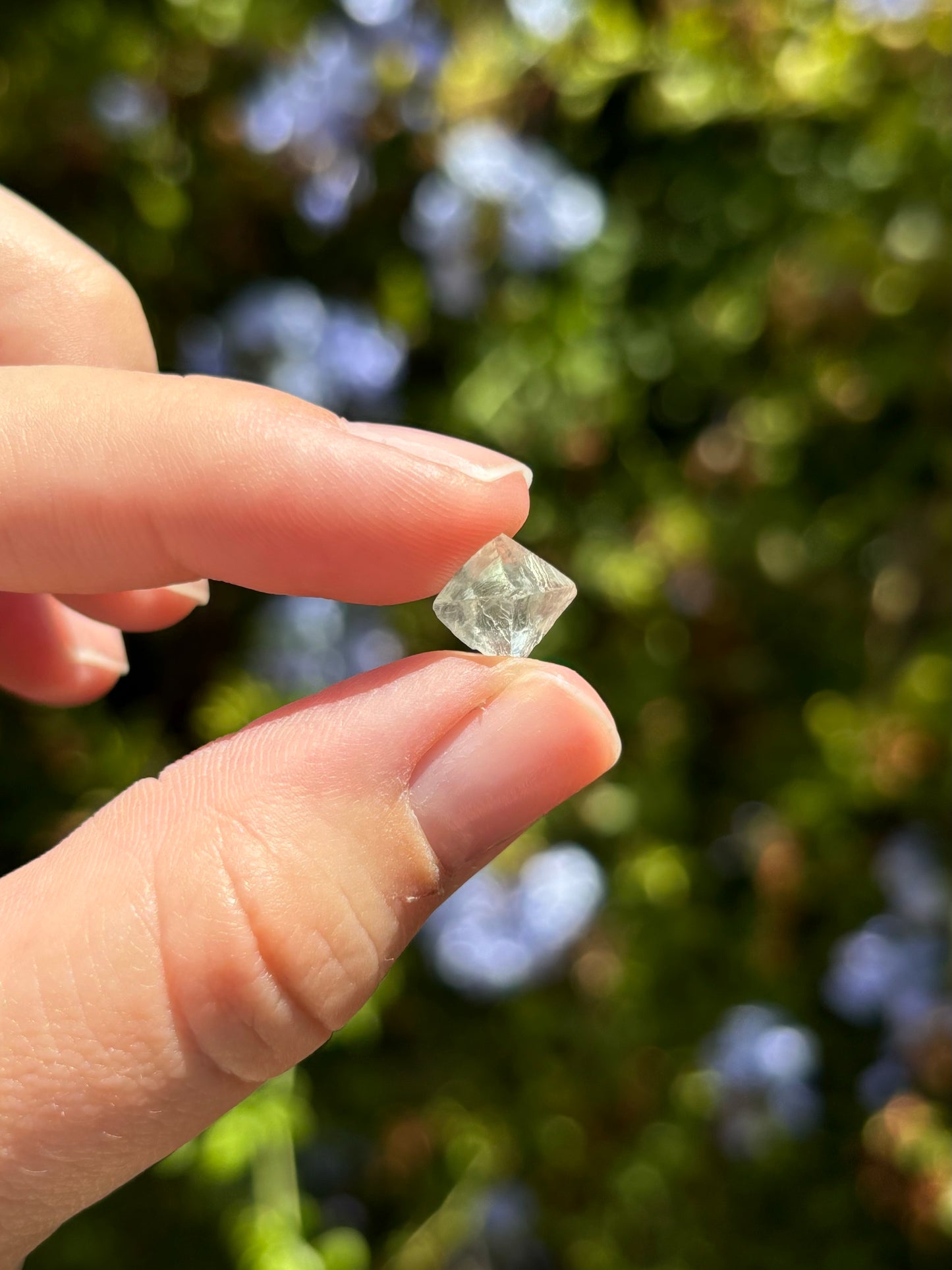 Octahedron Fluorite