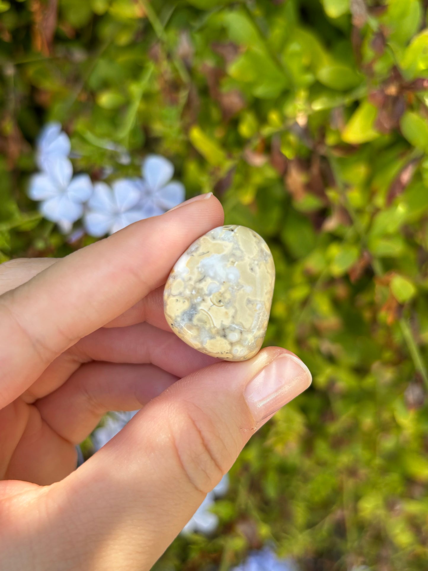 Conglomerate Jasper tumbles