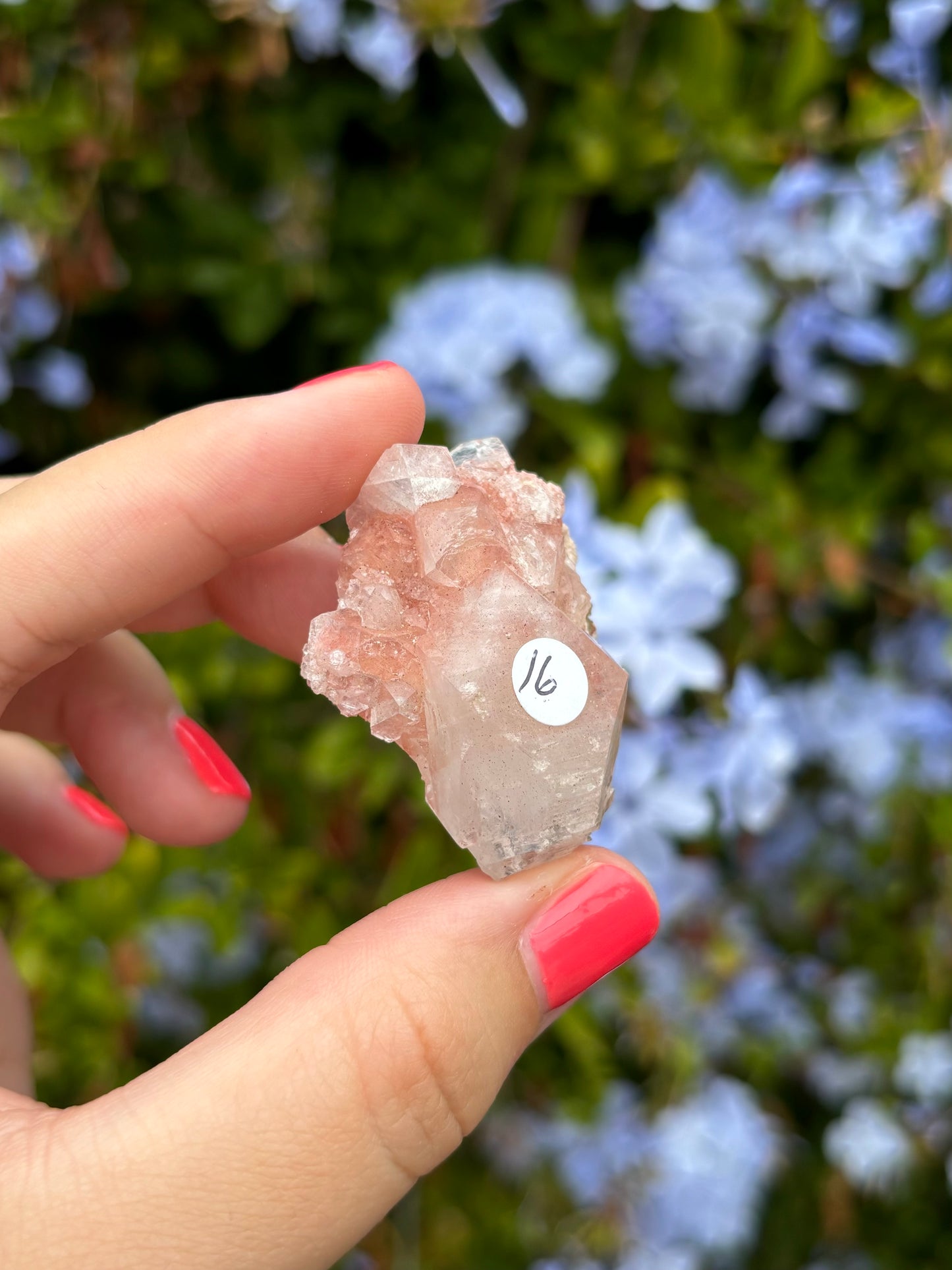 Pink Apophyllite clusters