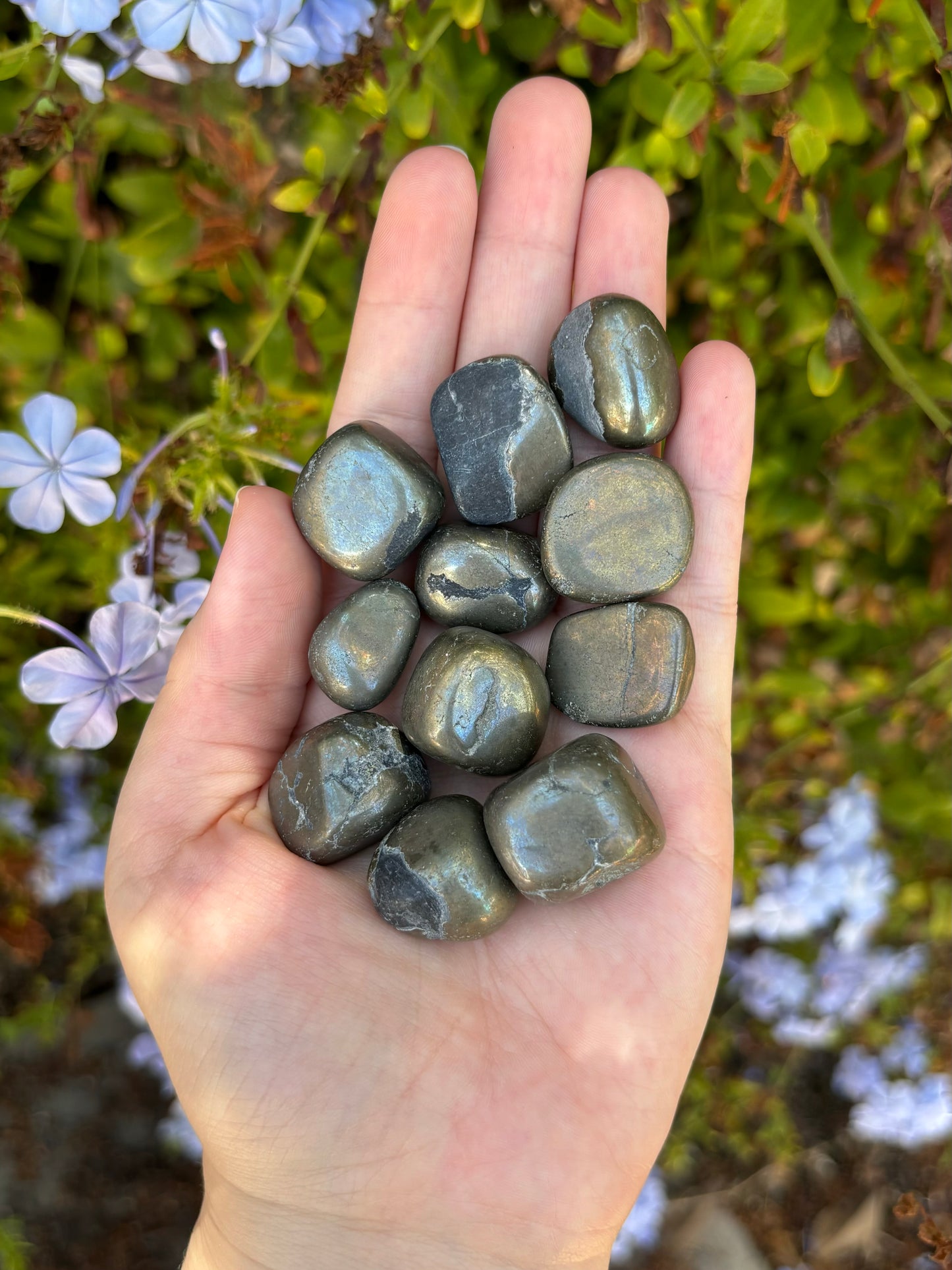 Pyrite tumbles