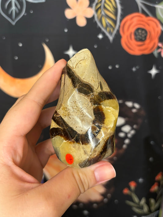 Septarian flames