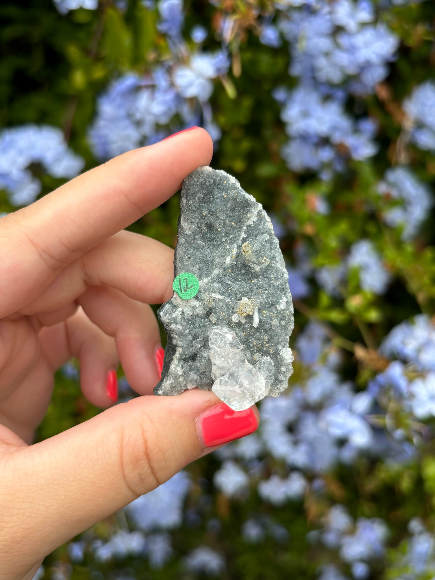 Black Chalcedony with Apophyllite clusters