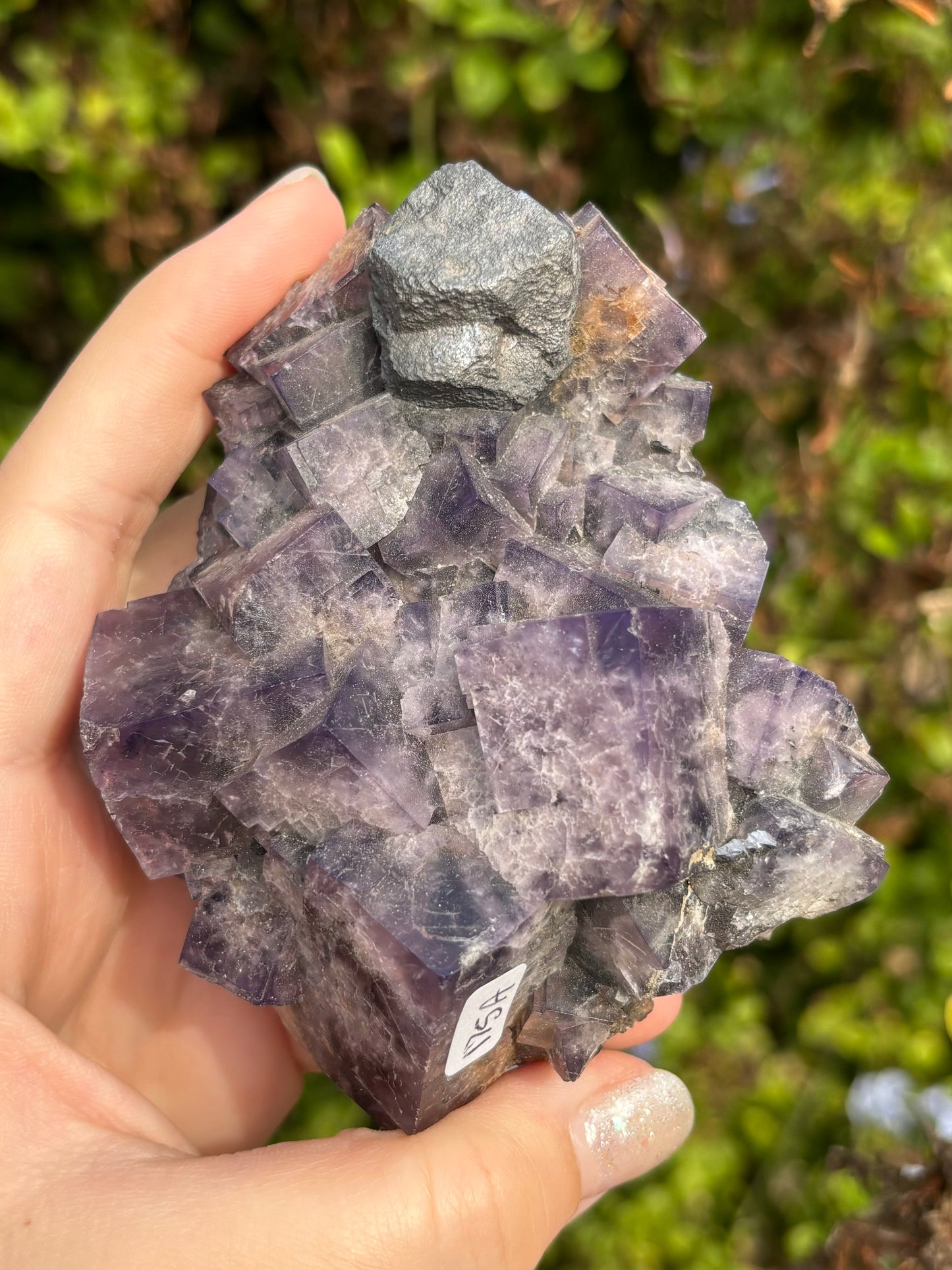 English Purple Fluorite A