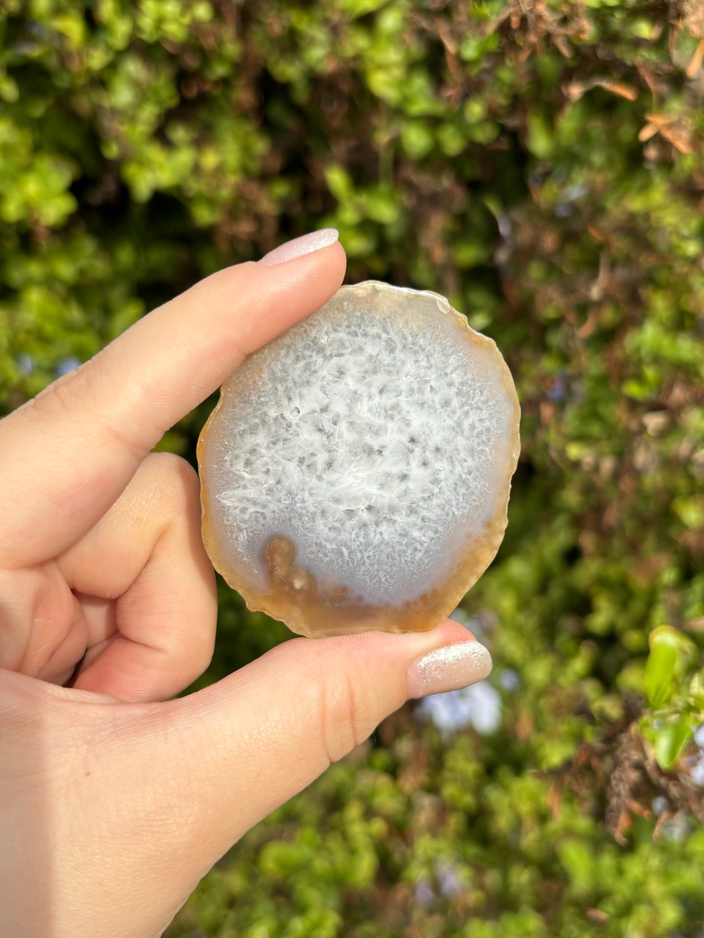 Mini Agate slices