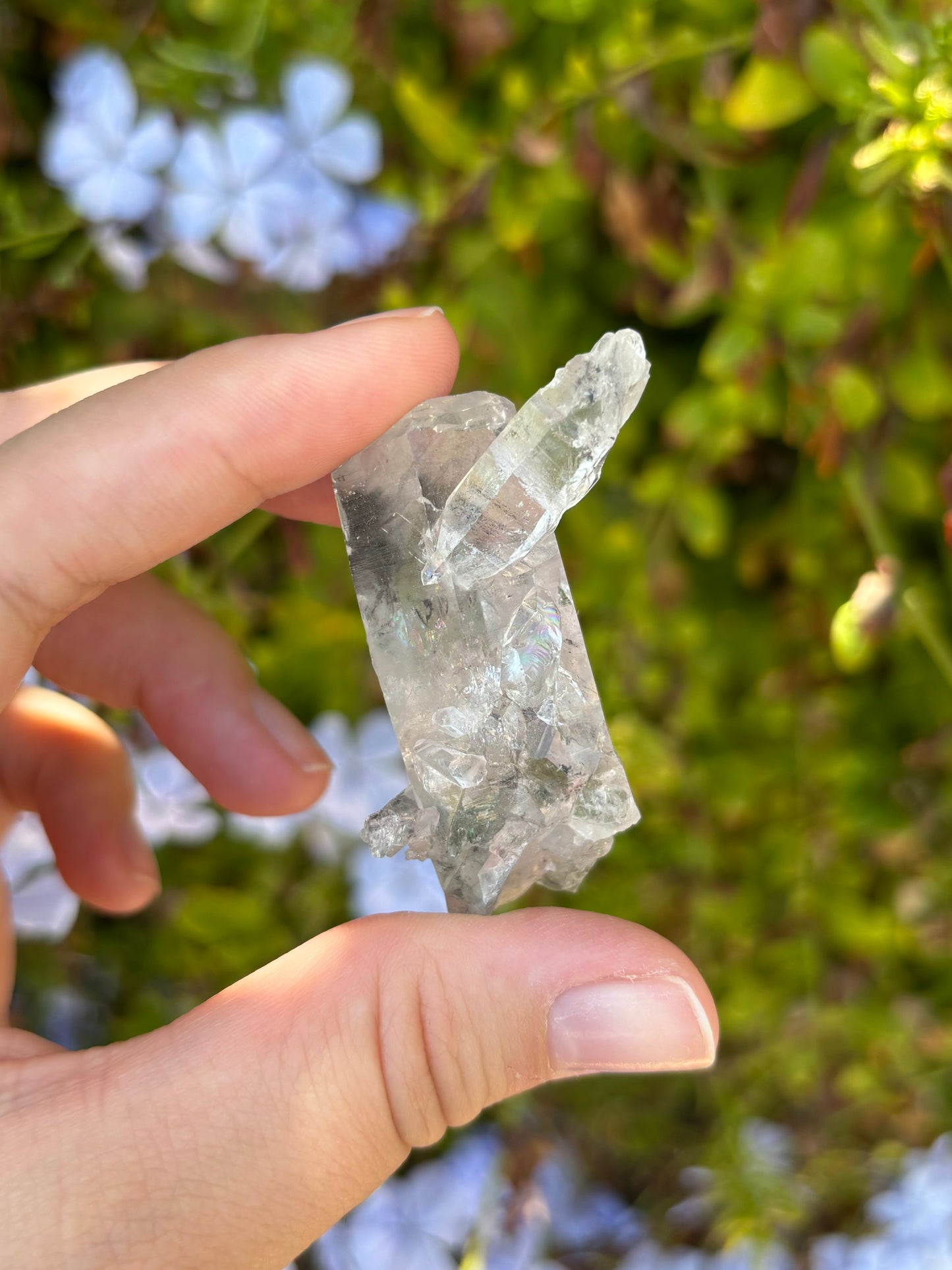 Tibetan Quartz *you choose*