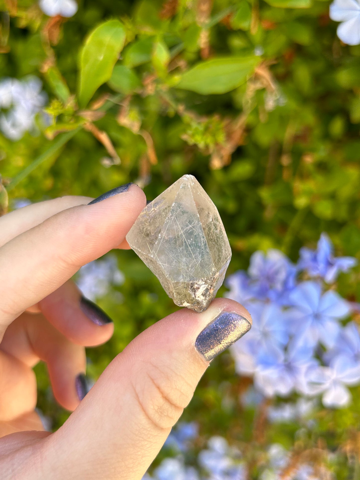 Smoky Quartz with Golden Rutile