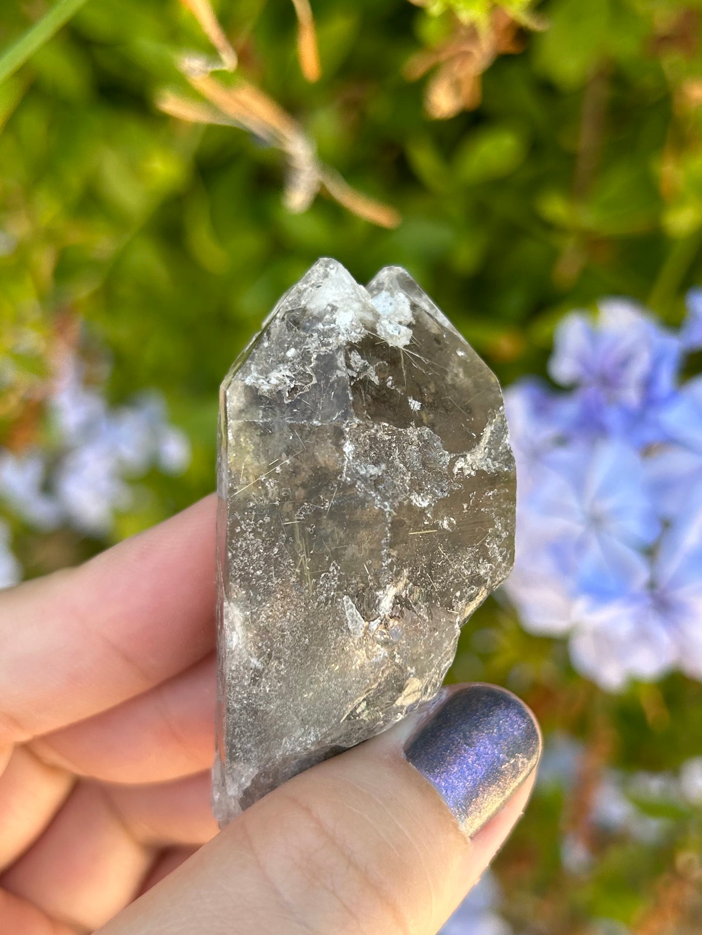 Smoky Quartz with Golden Rutile