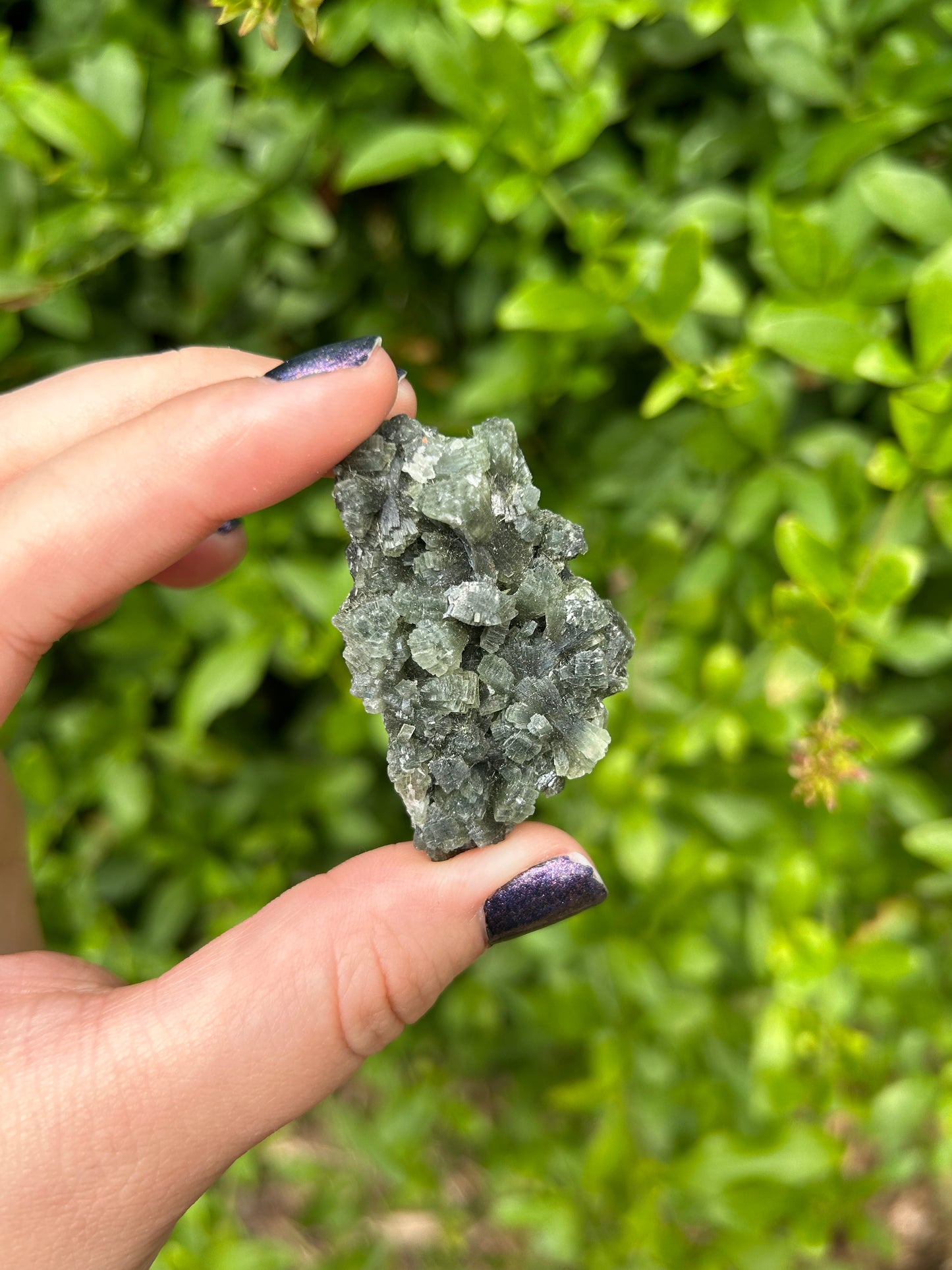 Prehnite with Epidote