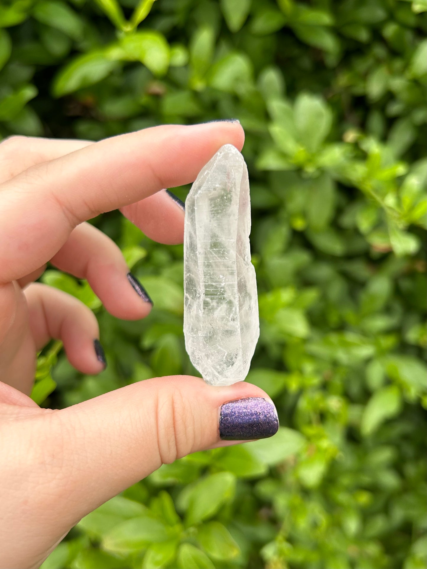 Lemurian Quartz points