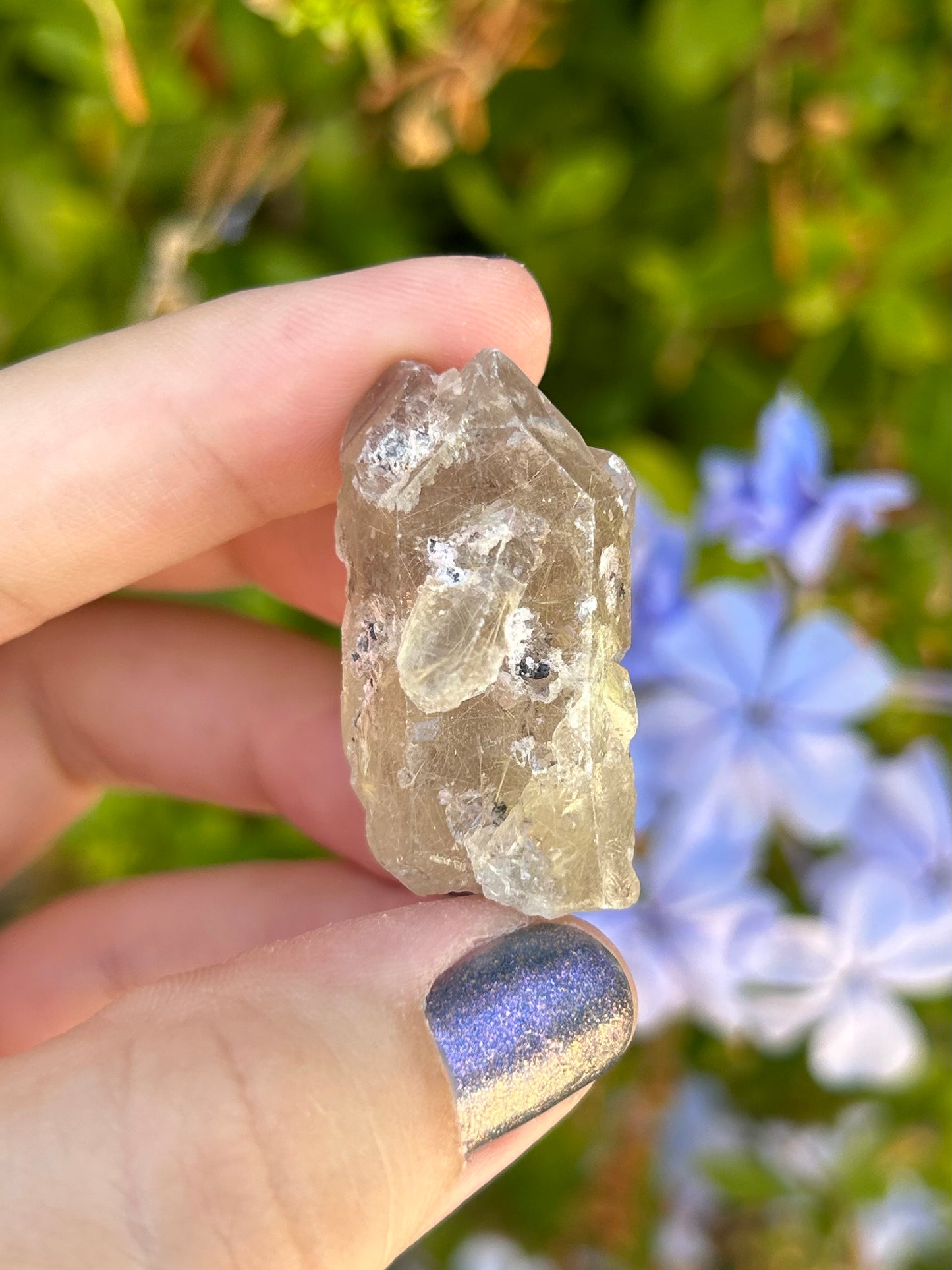 Smoky Quartz with Golden Rutile