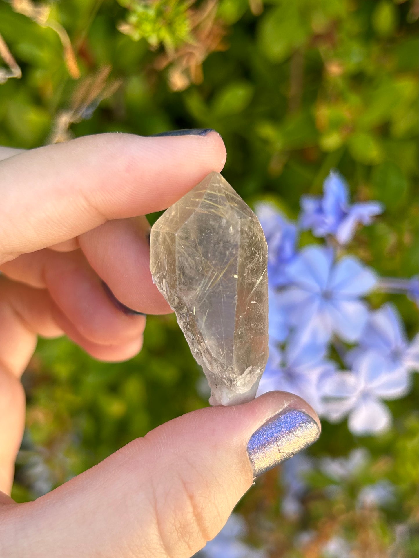 Smoky Quartz with Golden Rutile