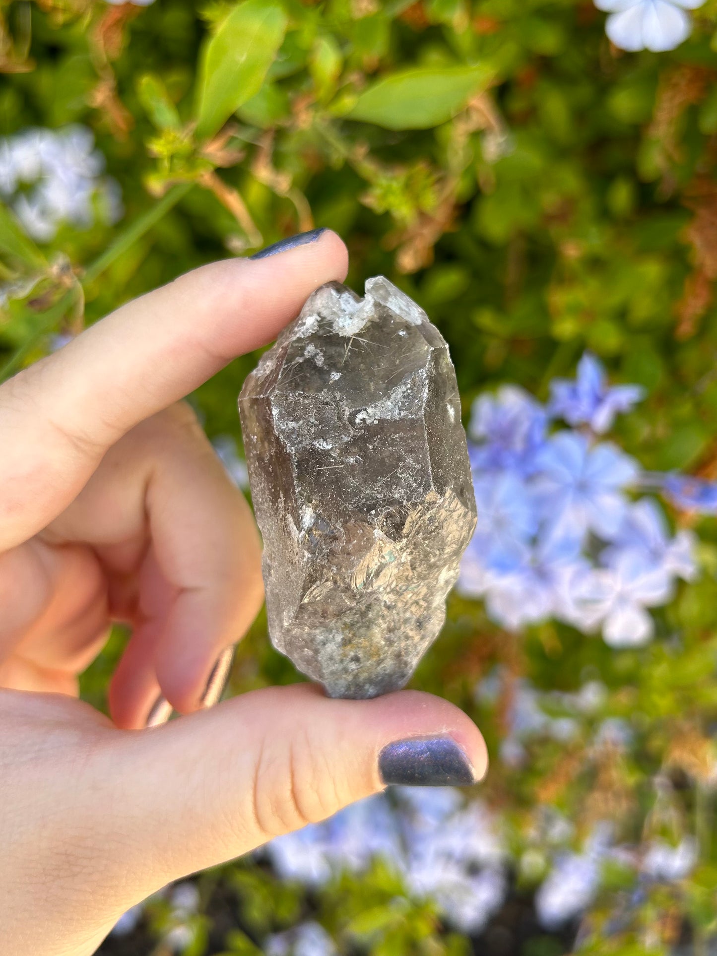 Smoky Quartz with Golden Rutile