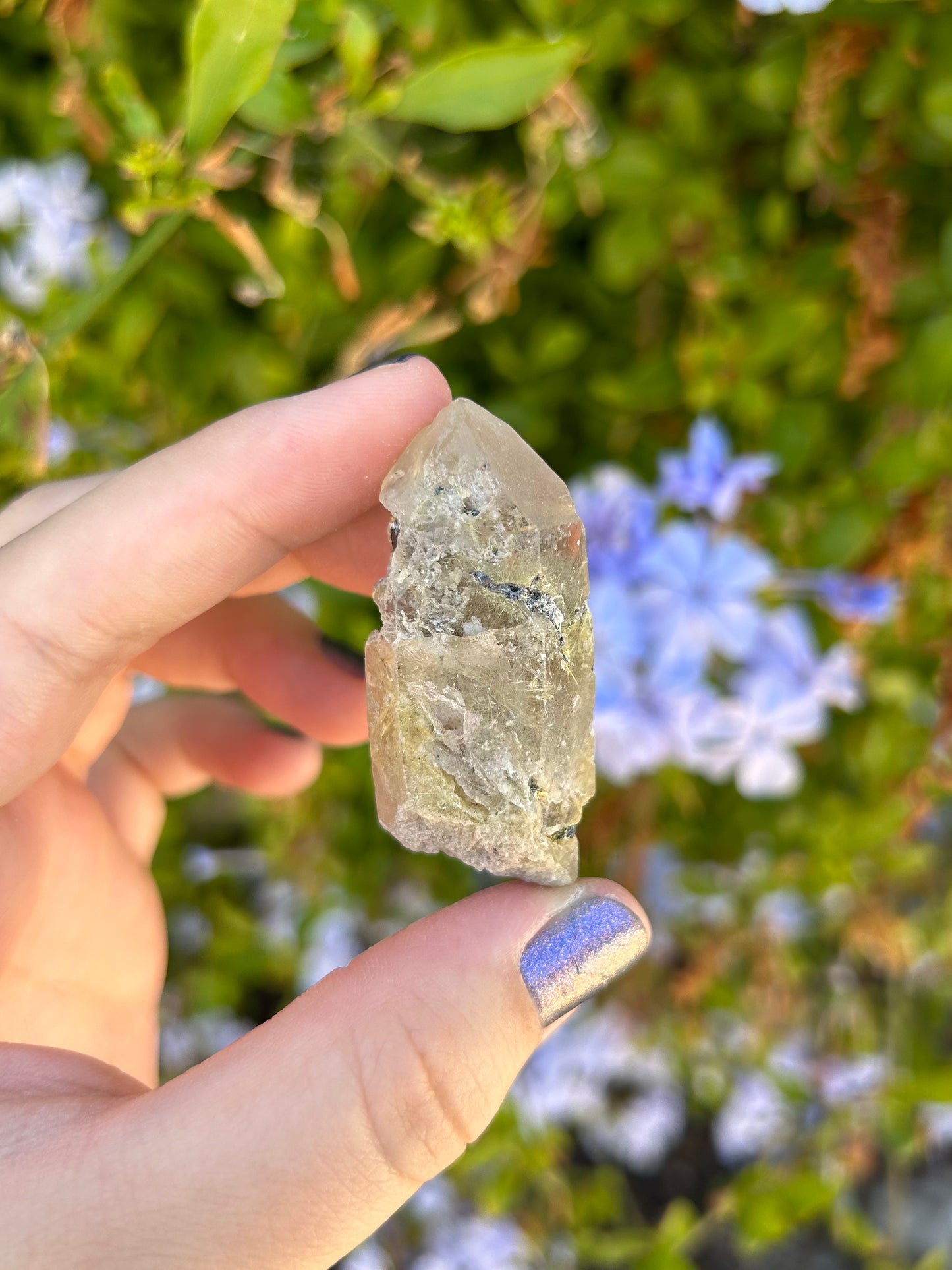 Smoky Quartz with Golden Rutile