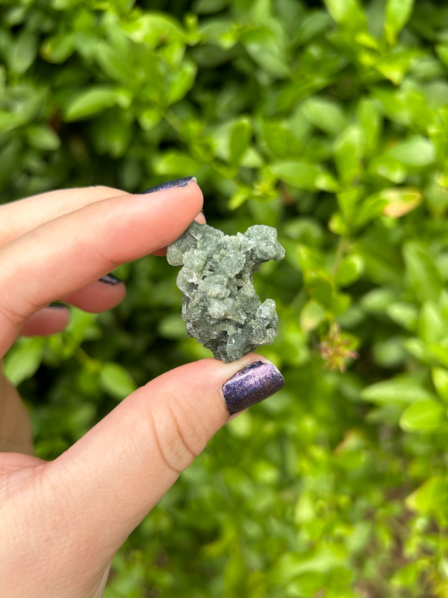 Prehnite with Epidote