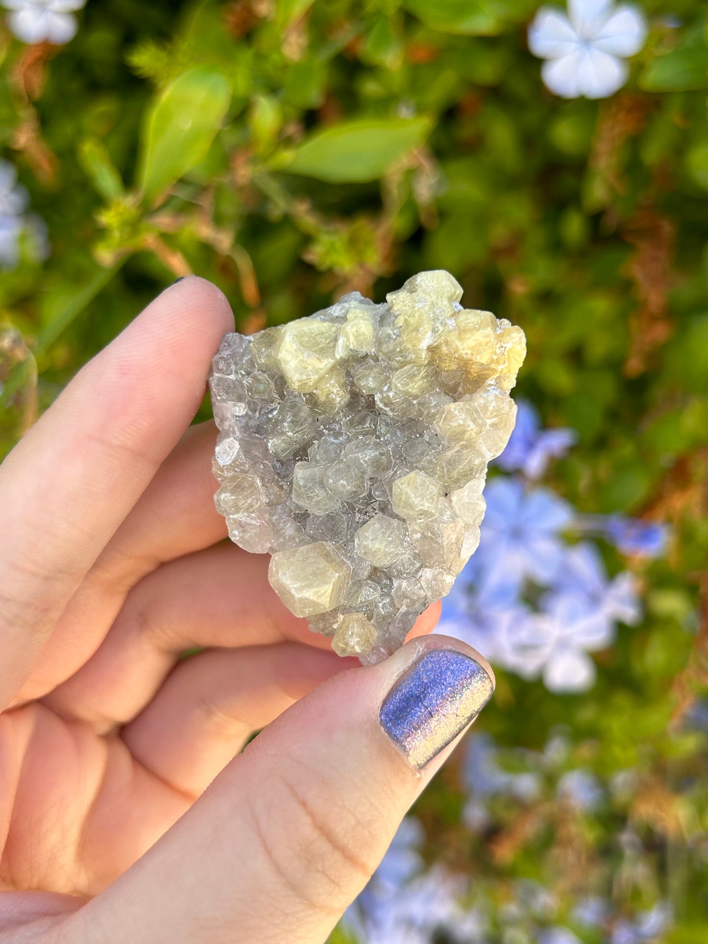 Smoky Quartz with Golden Rutile