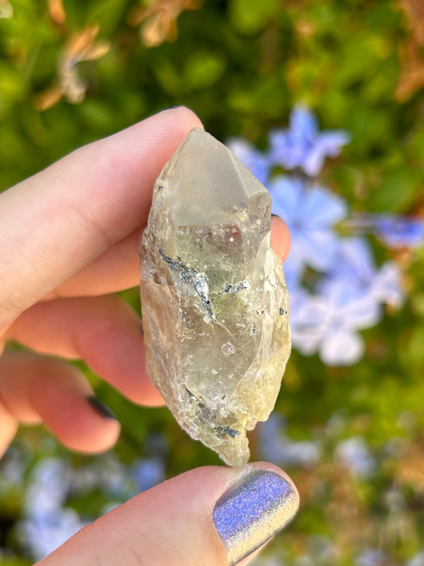 Smoky Quartz with Golden Rutile