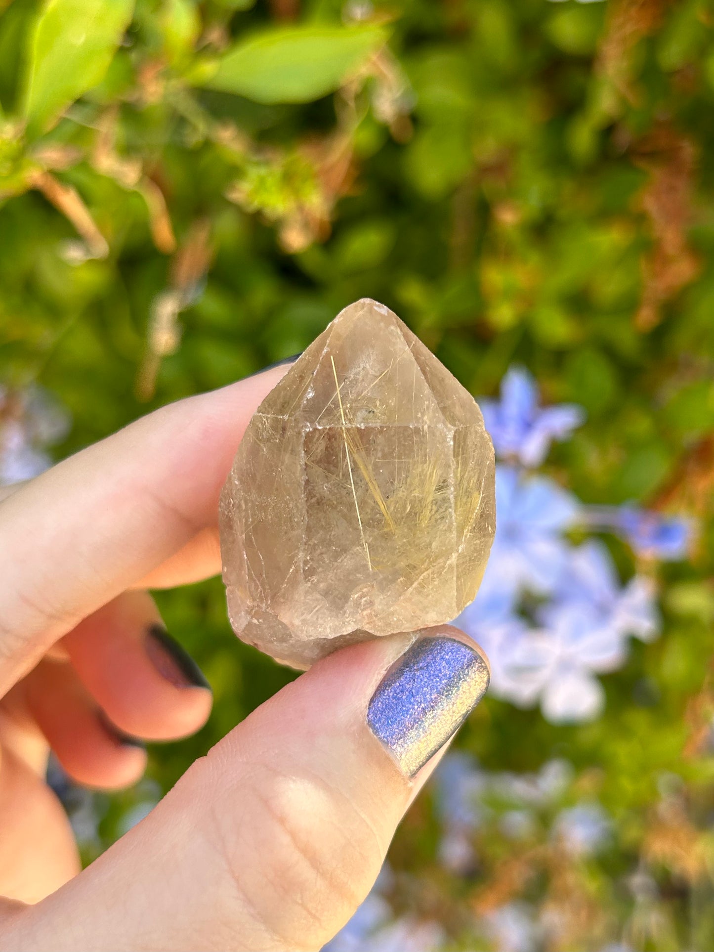 Smoky Quartz with Golden Rutile