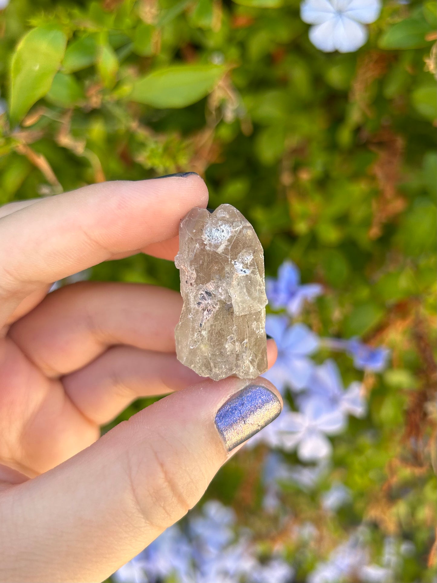 Smoky Quartz with Golden Rutile