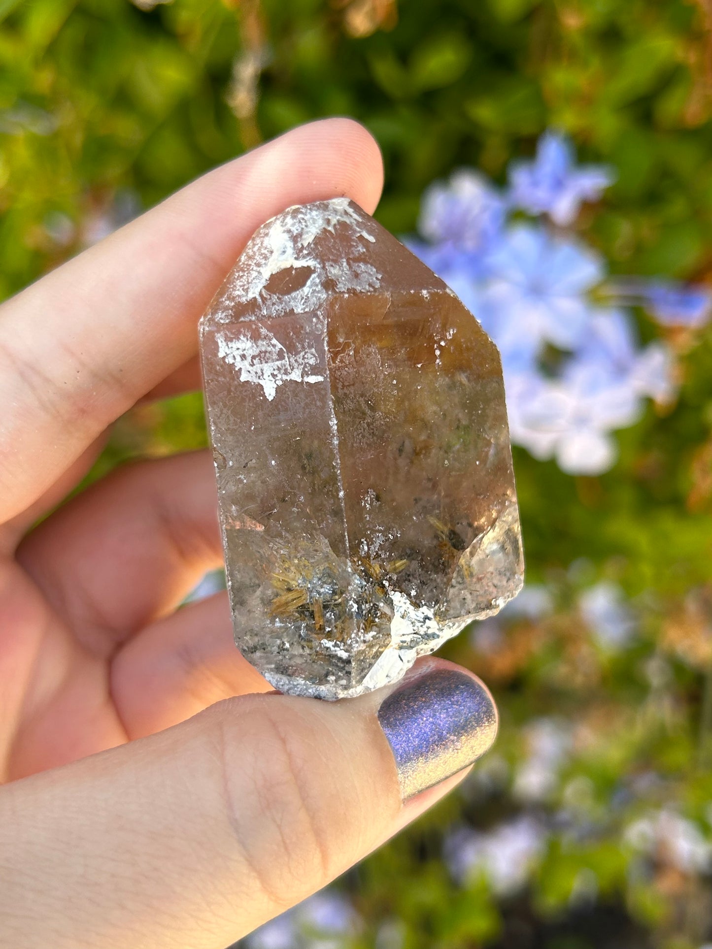 Smoky Quartz with Golden Rutile