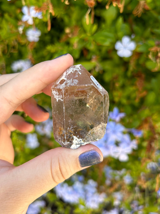 Smoky Quartz with Golden Rutile