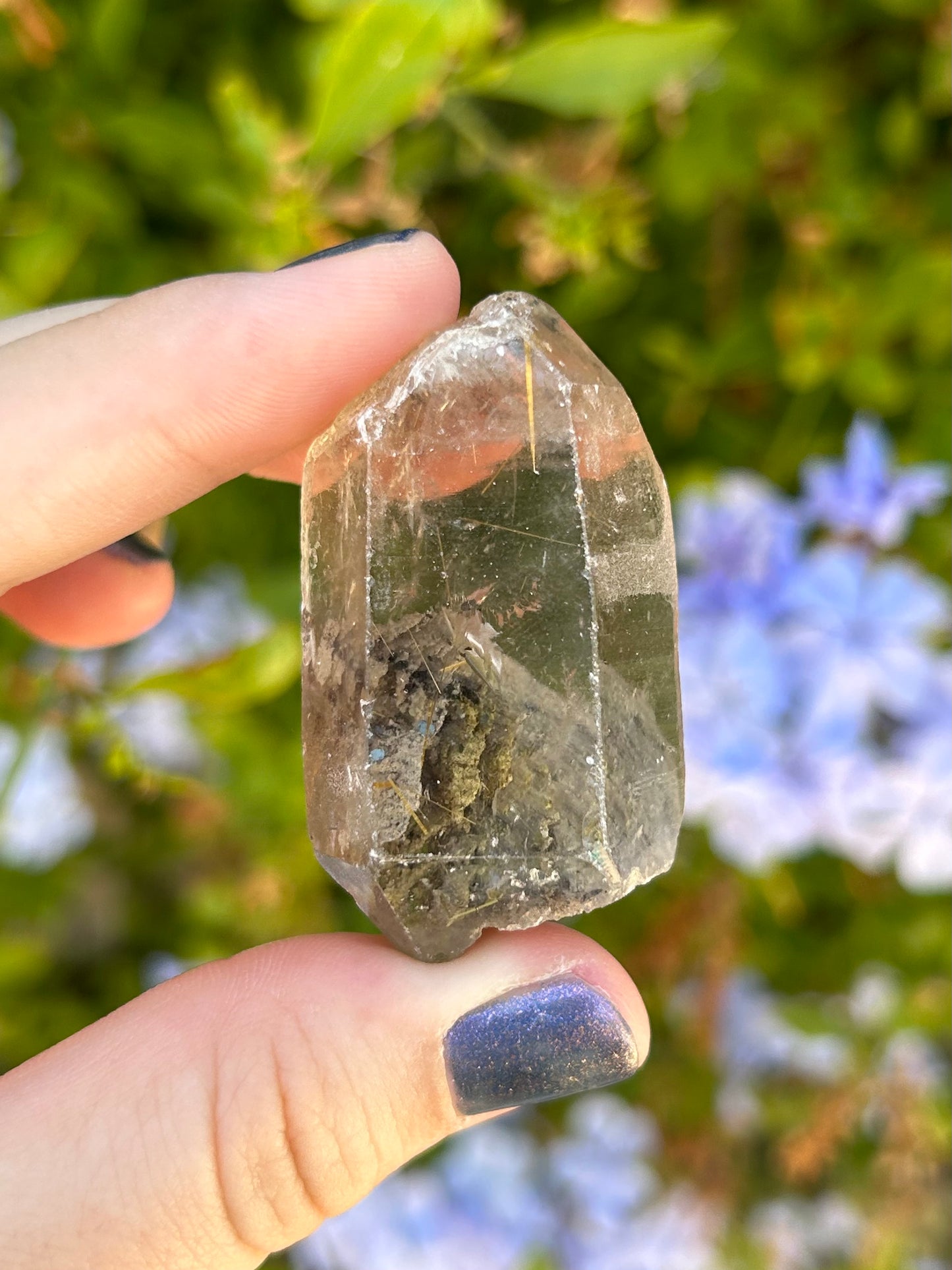 Smoky Quartz with Golden Rutile