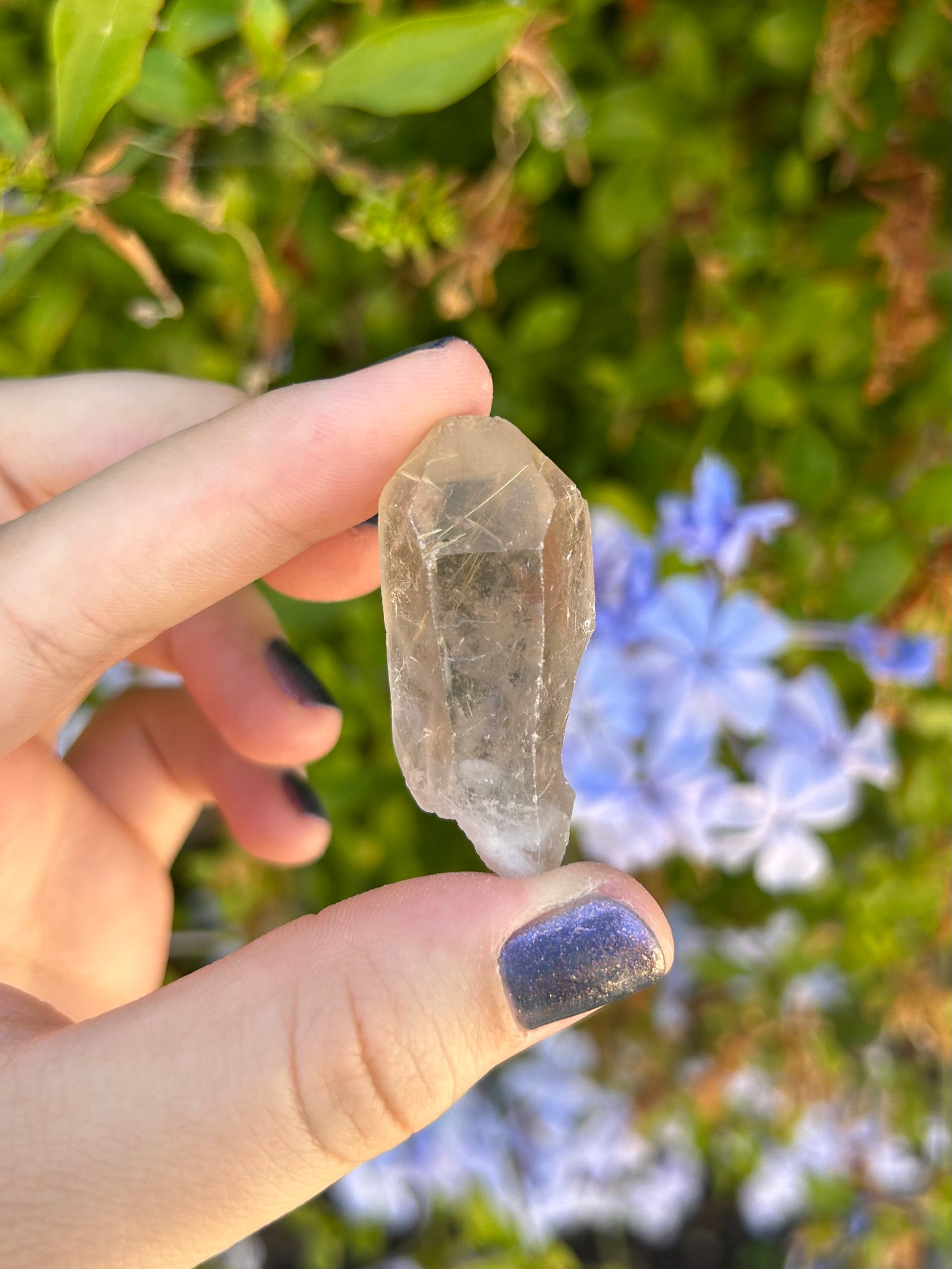 Smoky Quartz with Golden Rutile