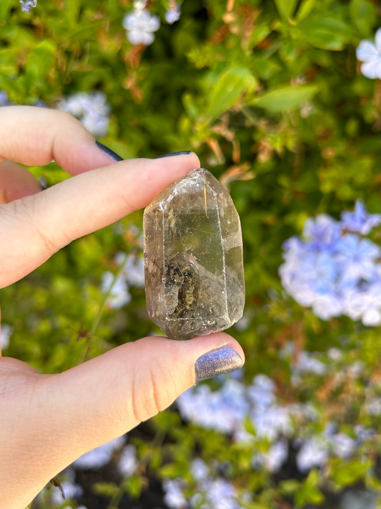 Smoky Quartz with Golden Rutile