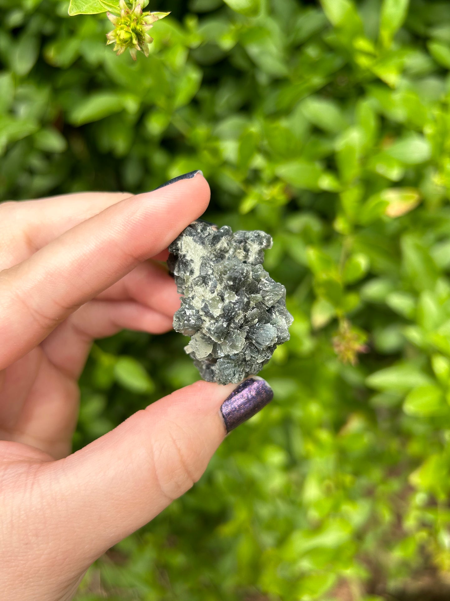 Prehnite with Epidote