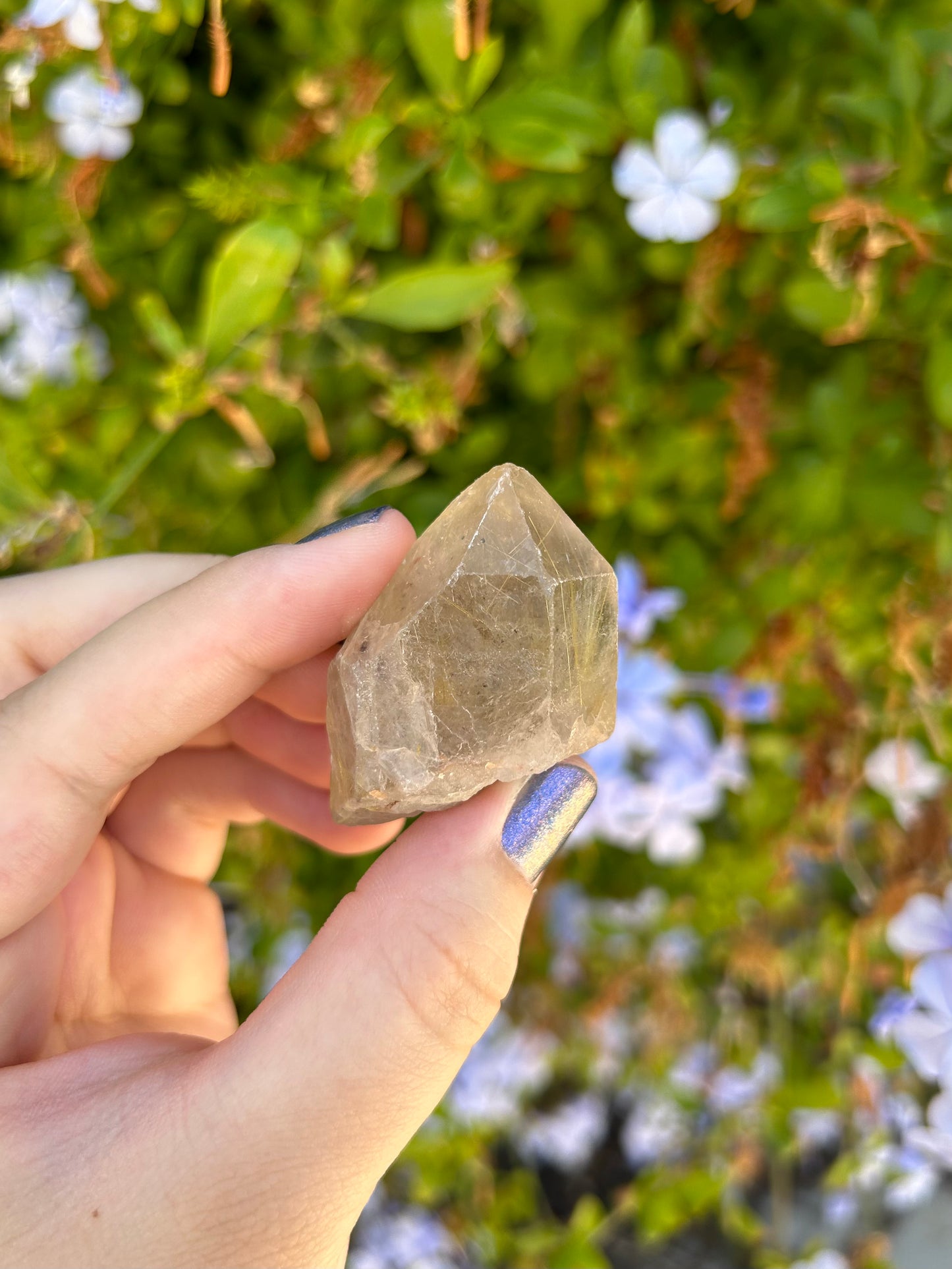 Smoky Quartz with Golden Rutile