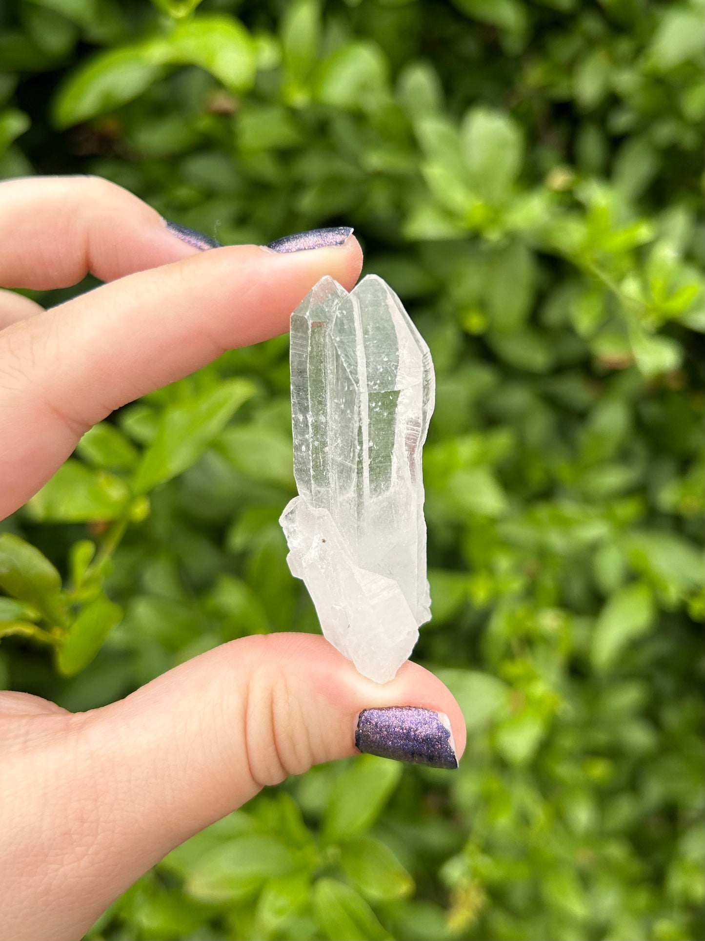 Lemurian Quartz points