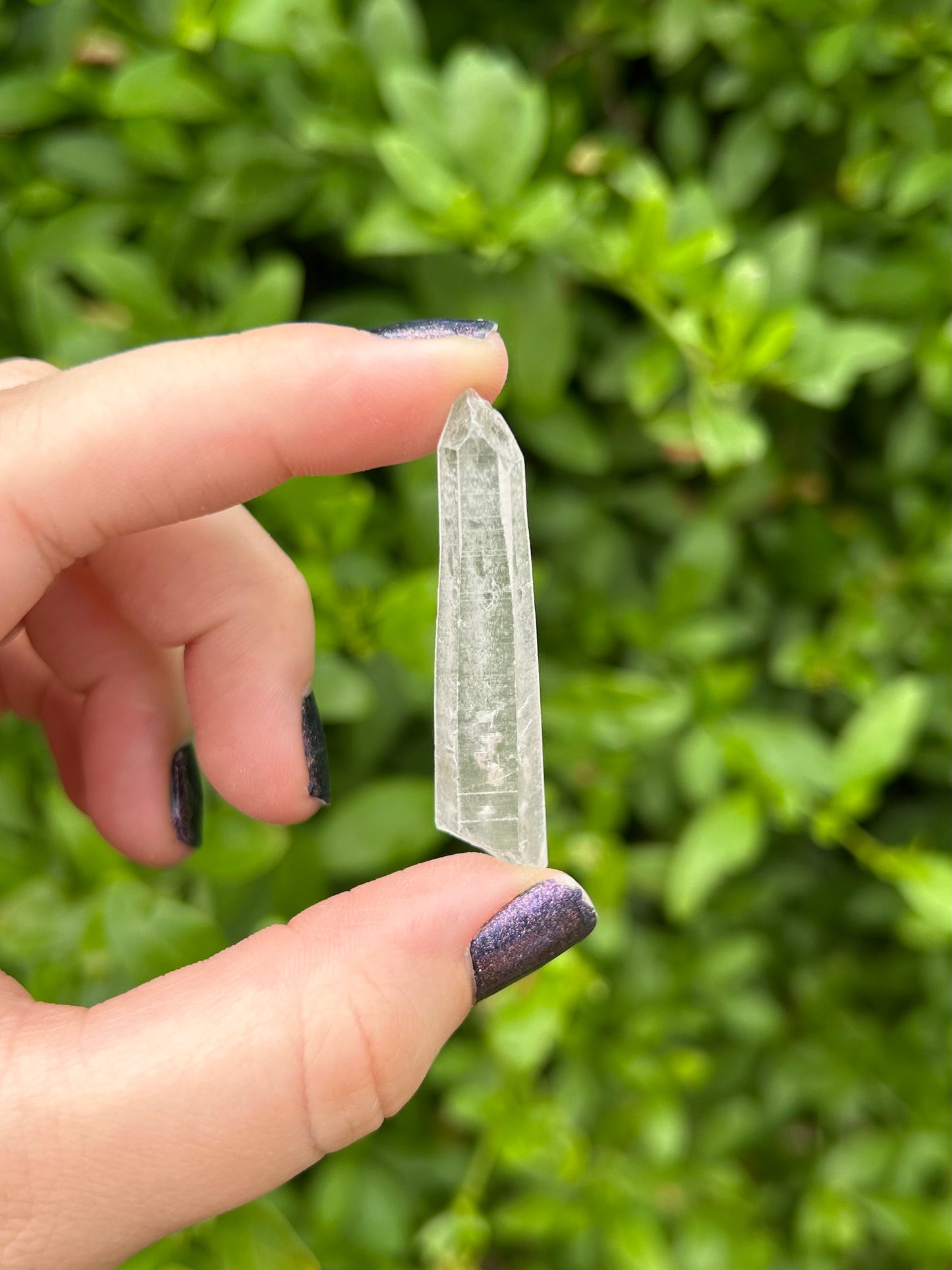 Lemurian Quartz points