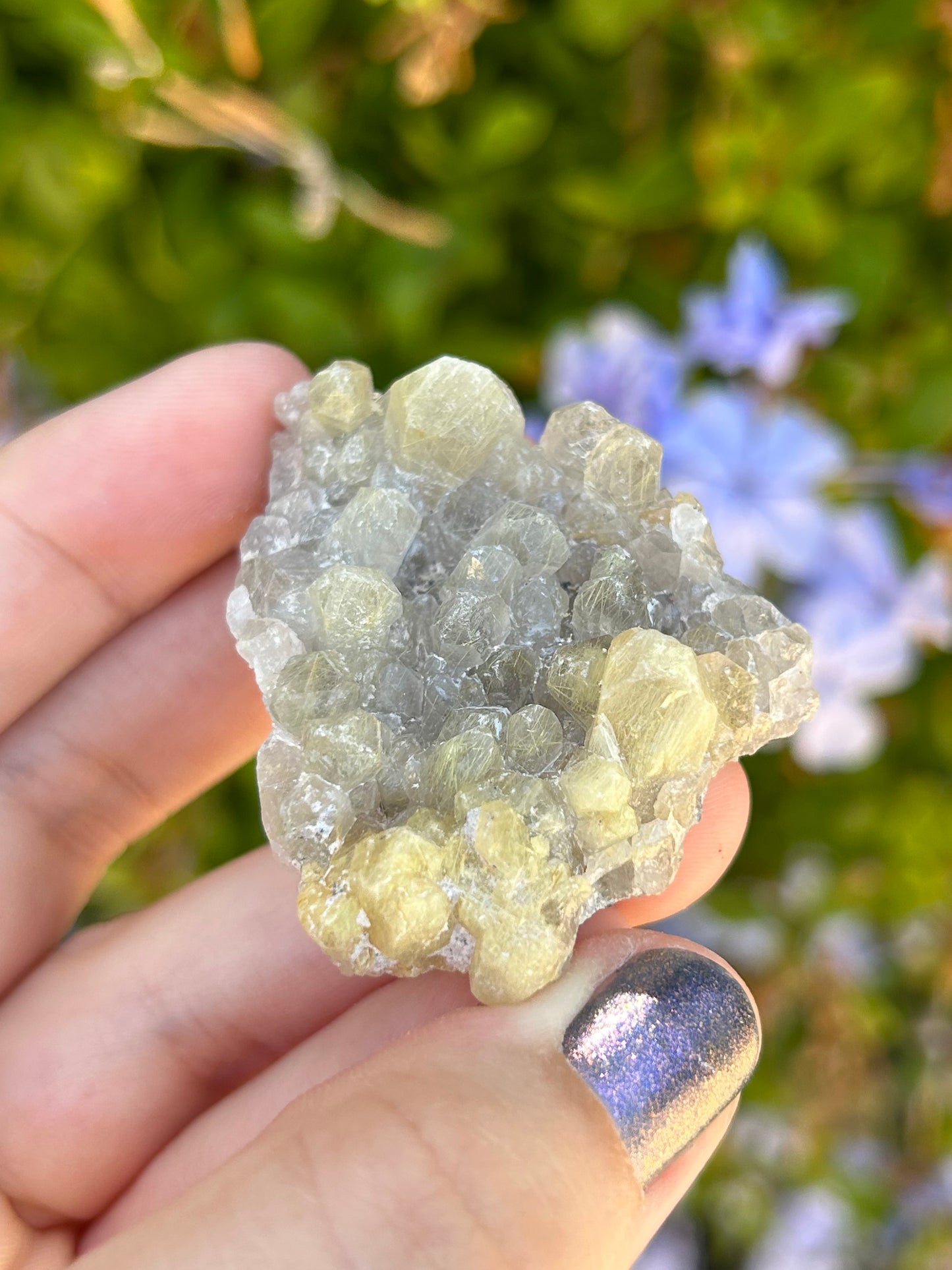 Smoky Quartz with Golden Rutile