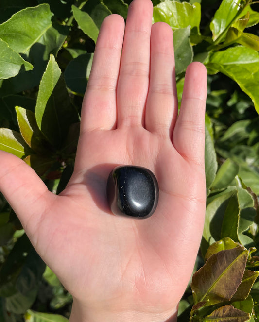 Black Obsidian tumbles