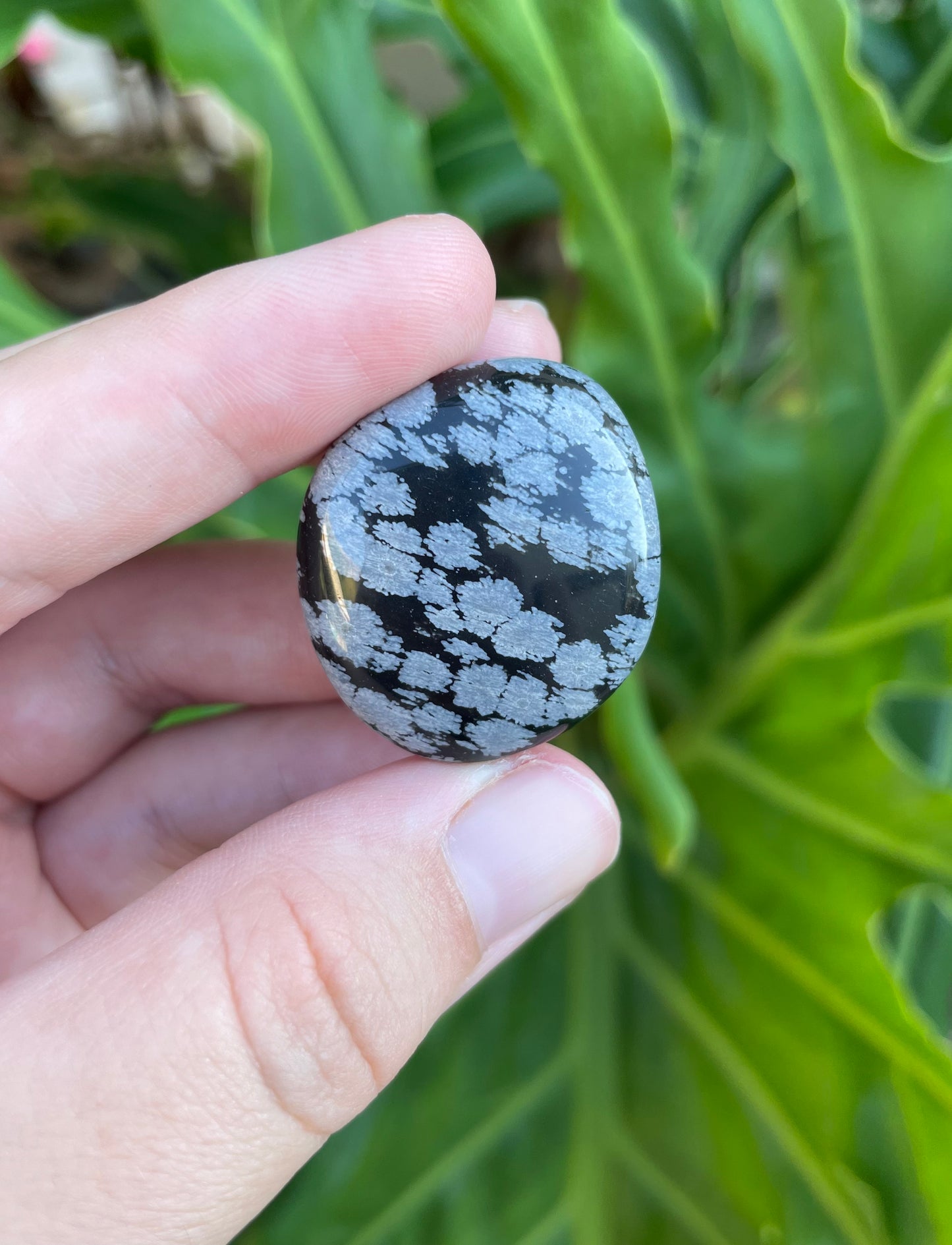 Snowflake Obsidian Tumbles