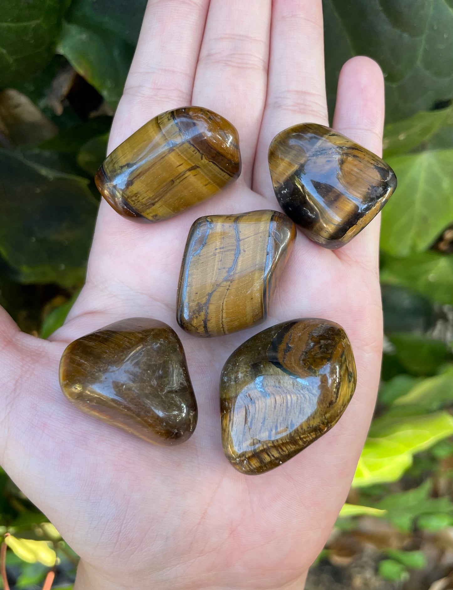 Tigers Eye Tumbles