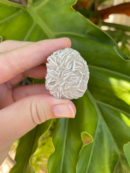 Desert Rose Selenite