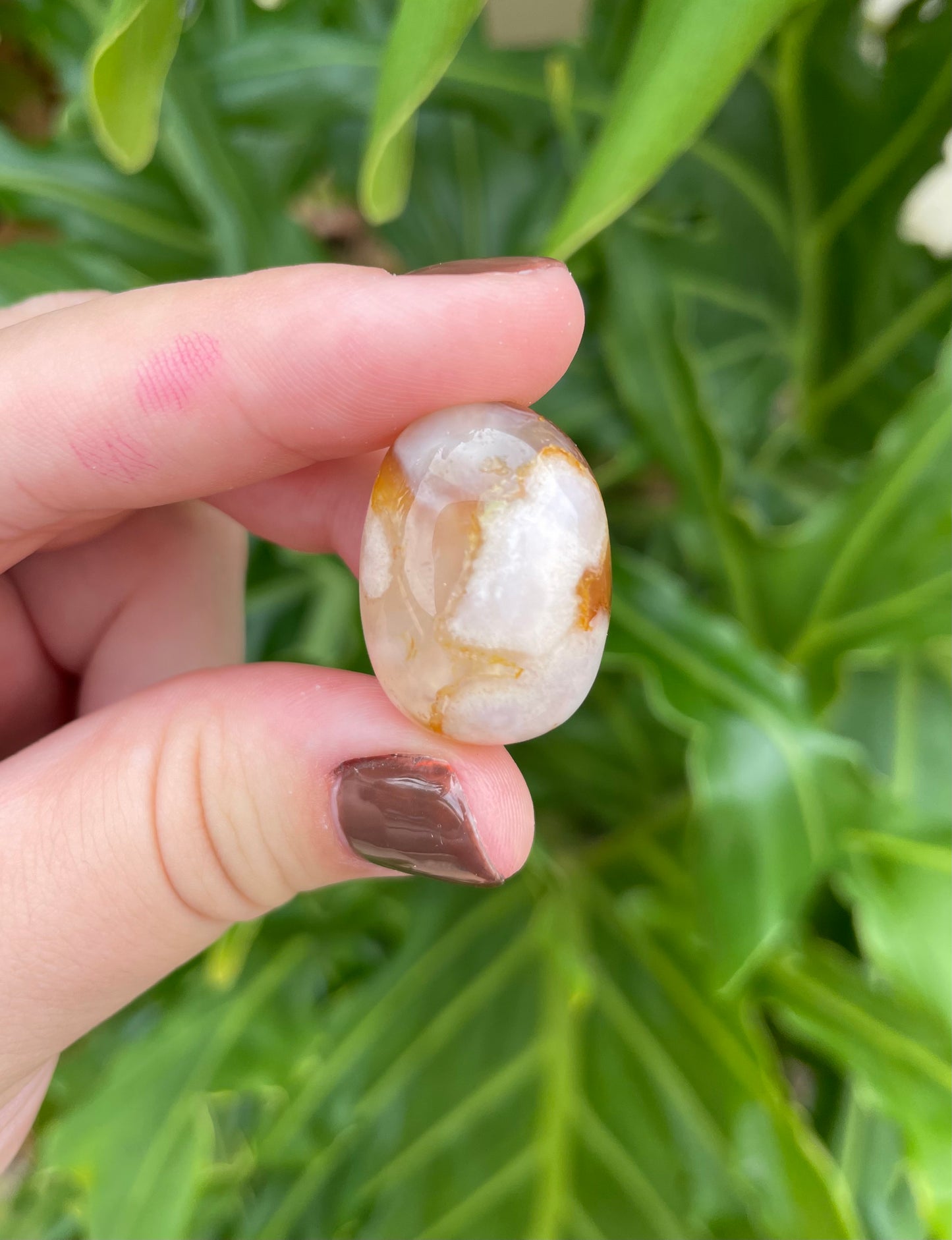 Flower Agate Tumbles