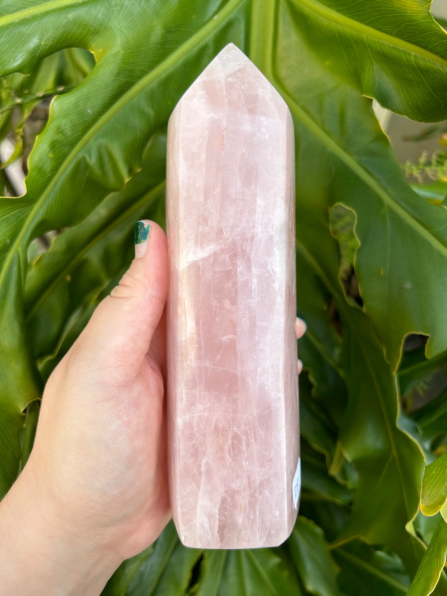 Rose Quartz towers