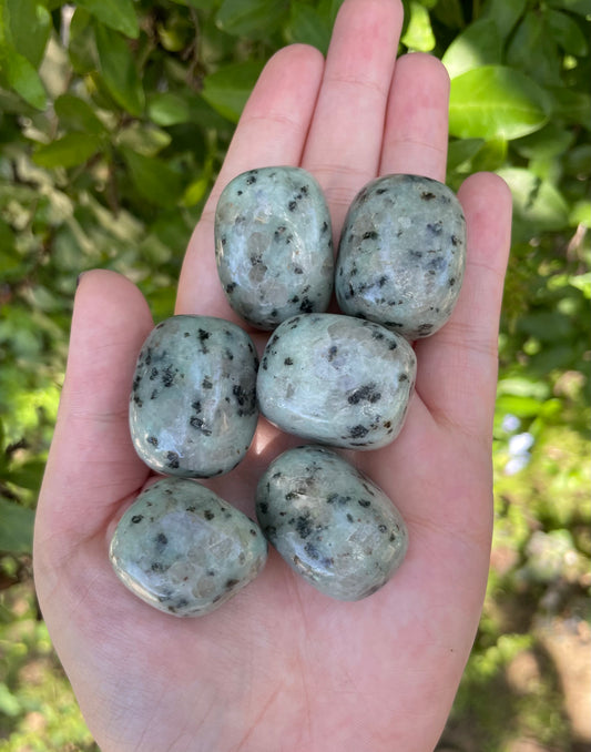 Kiwi Jasper Tumbles