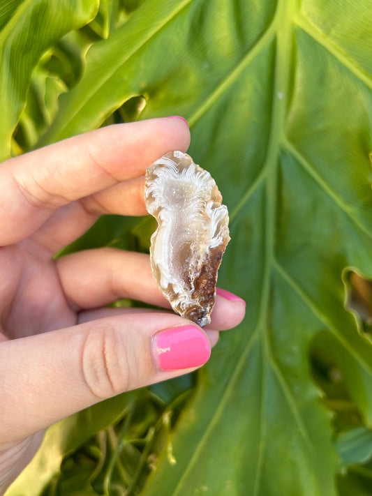 Druzy Agate Geodes