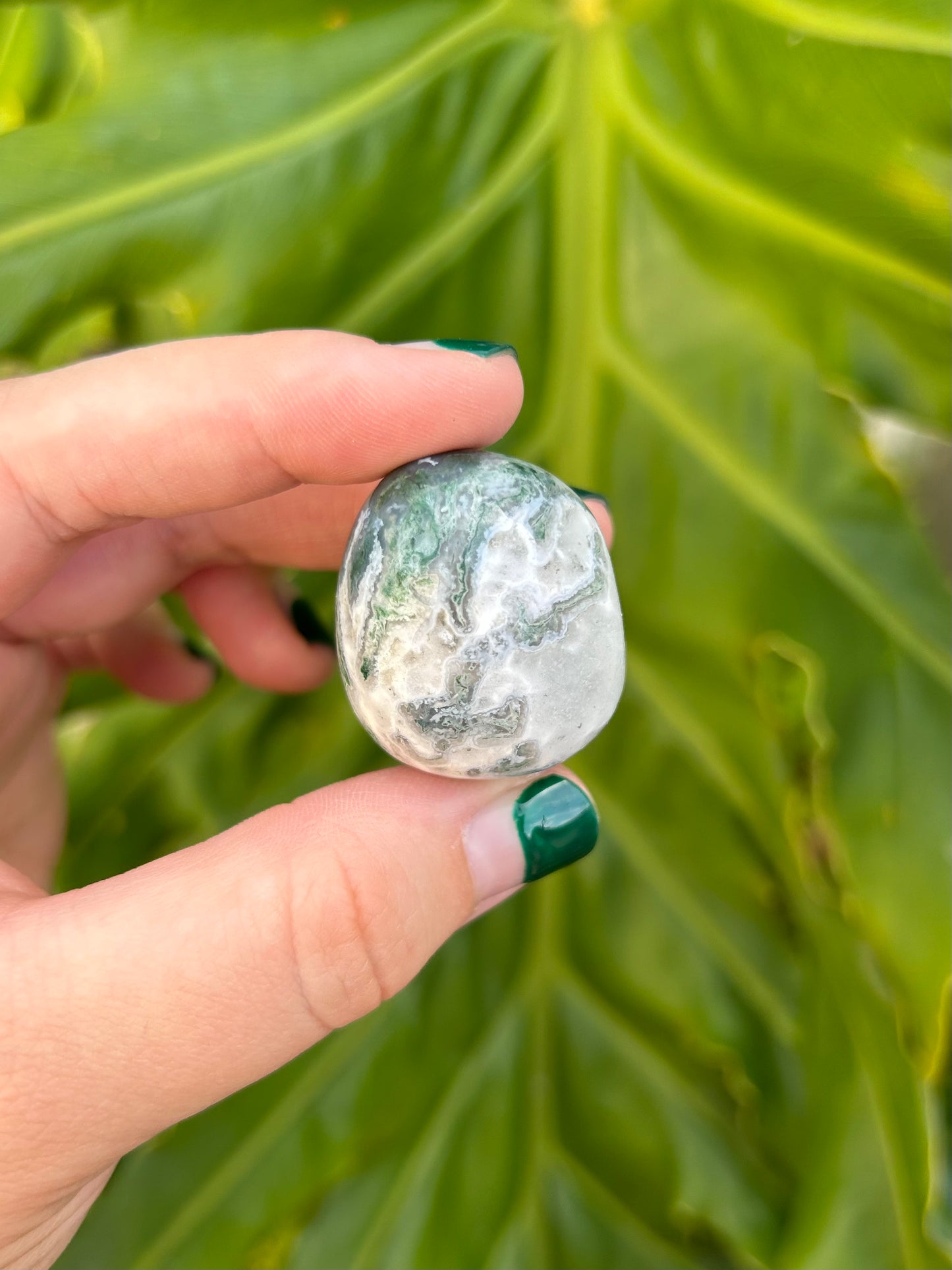 Moss Agate Tumbles