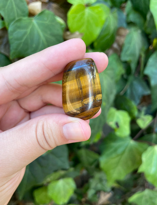 Tigers Eye Tumbles