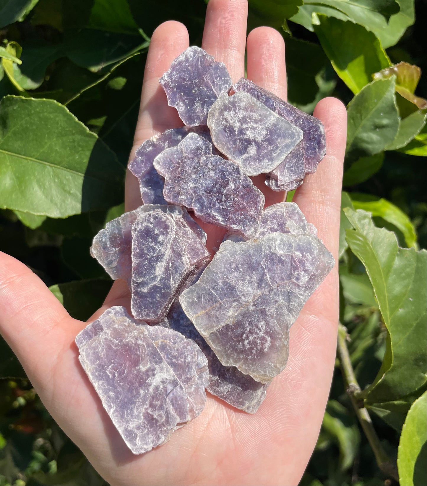 Lepidolite Slices