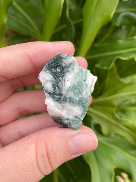 Raw Tree Agate