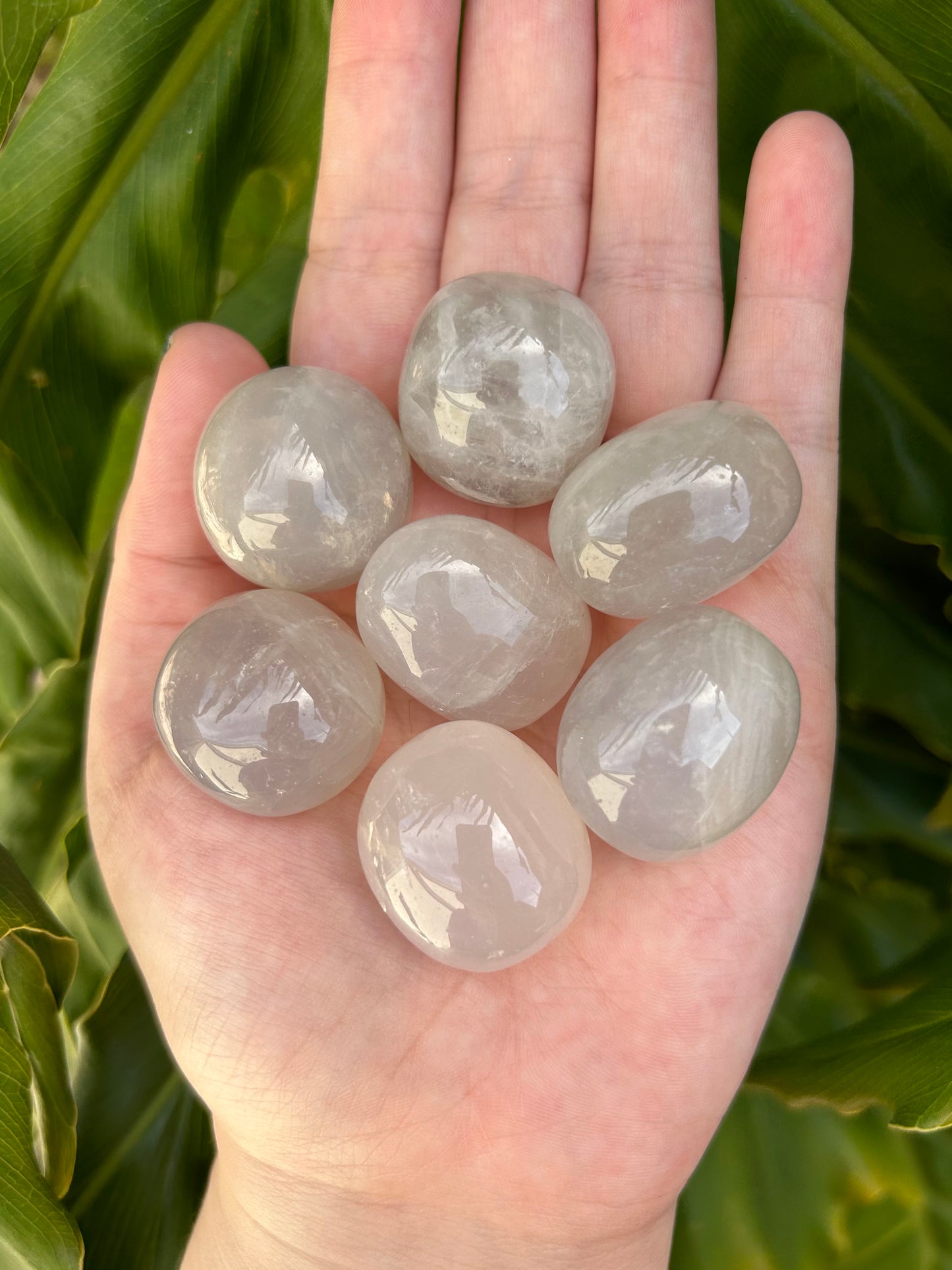 Blue Rose Quartz tumbles