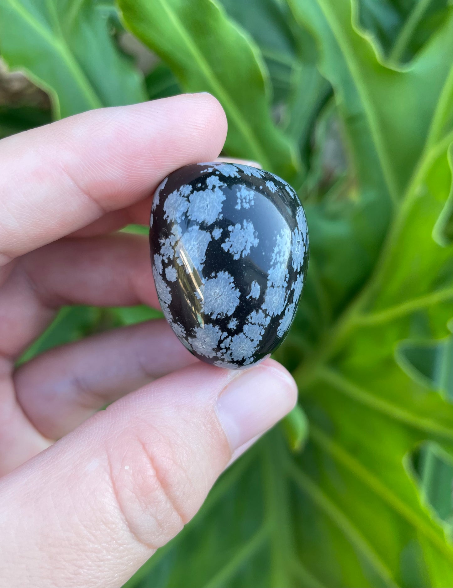 Snowflake Obsidian Tumbles