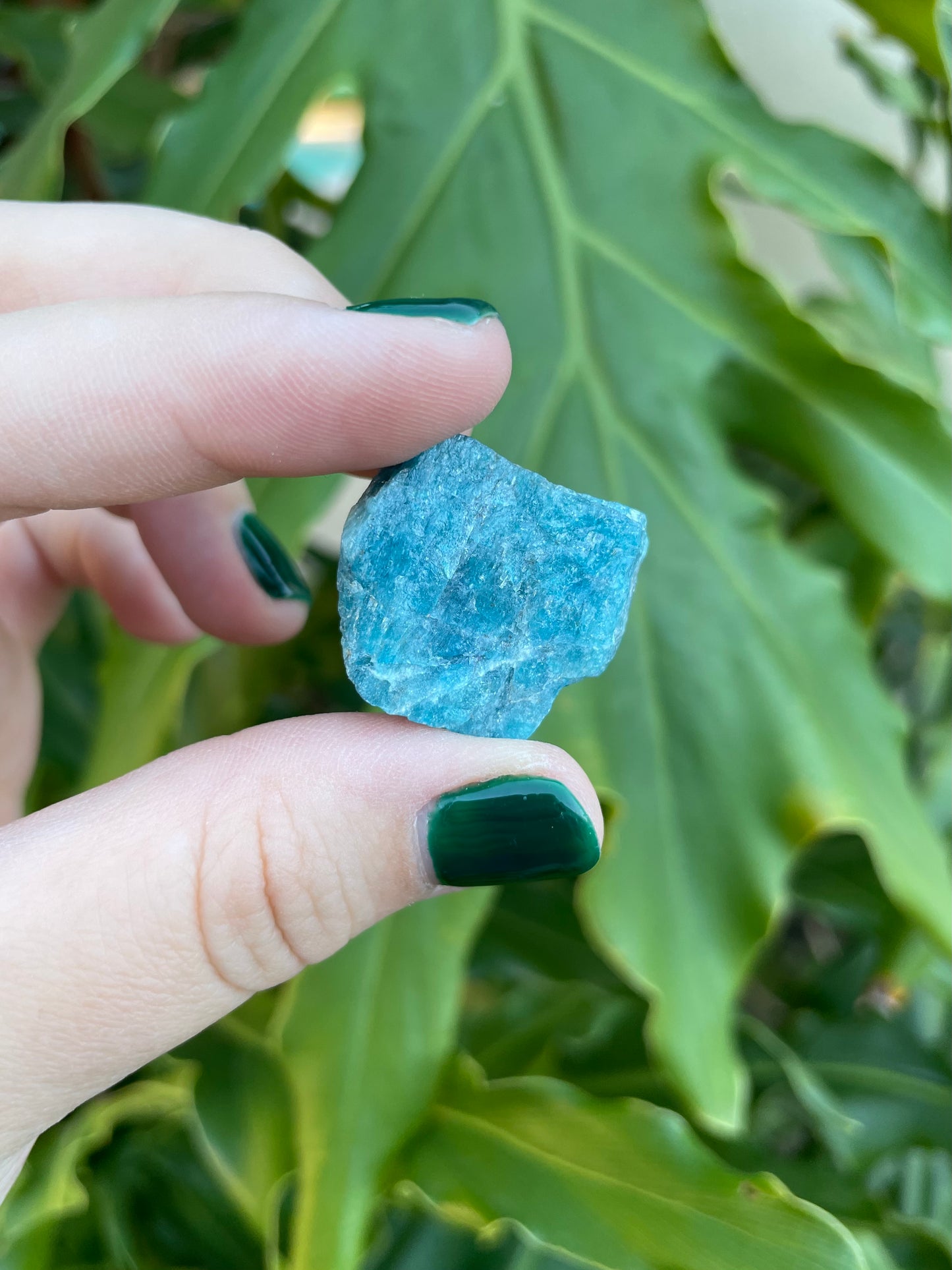 Raw Blue Apatite